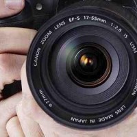 Avatar de Graziele Fontes