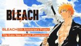 bleach anniversary project