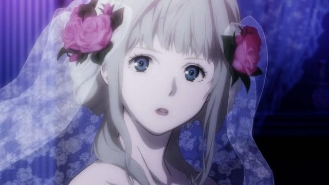 AN Fena Pirate Princess