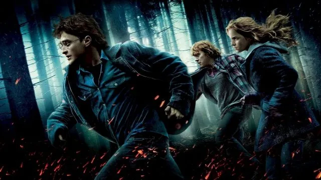 harry potter certo