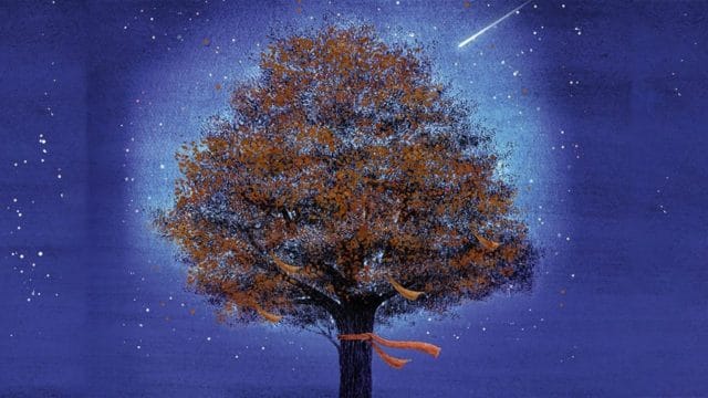 Capa Cabana do Leitor