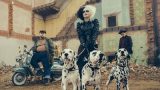 https cdn.cnn .com cnnnext dam assets 190824181657 emma stone cruella de vil trnd