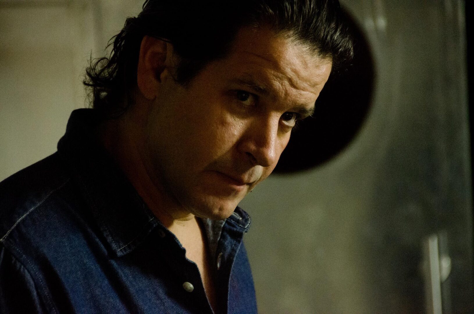 AnimalCordial 02 scaled