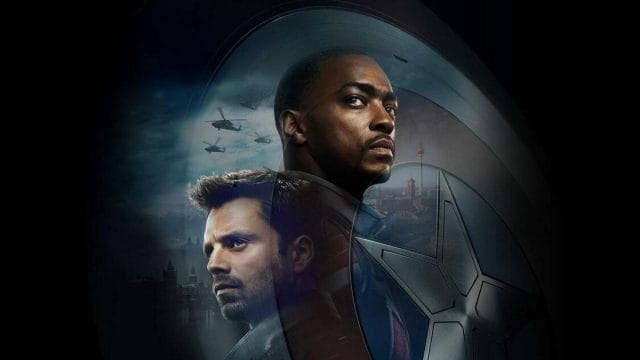 FALCAO E SOLDADO INVERNAL