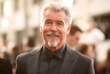 pierce brosnan