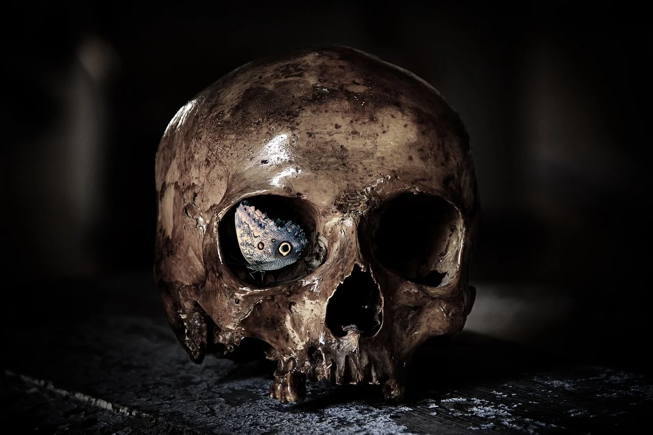 Como falar sobre a morte pode ajudar a viver? skull 3026666 1280