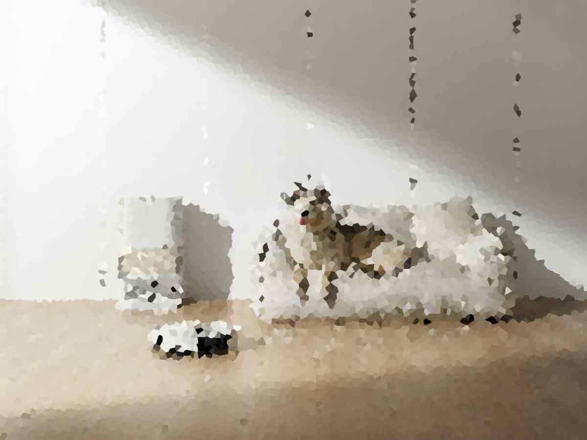We Tried Every Major Robot Vacuum — Here's the One That Actually Works 1 4653433