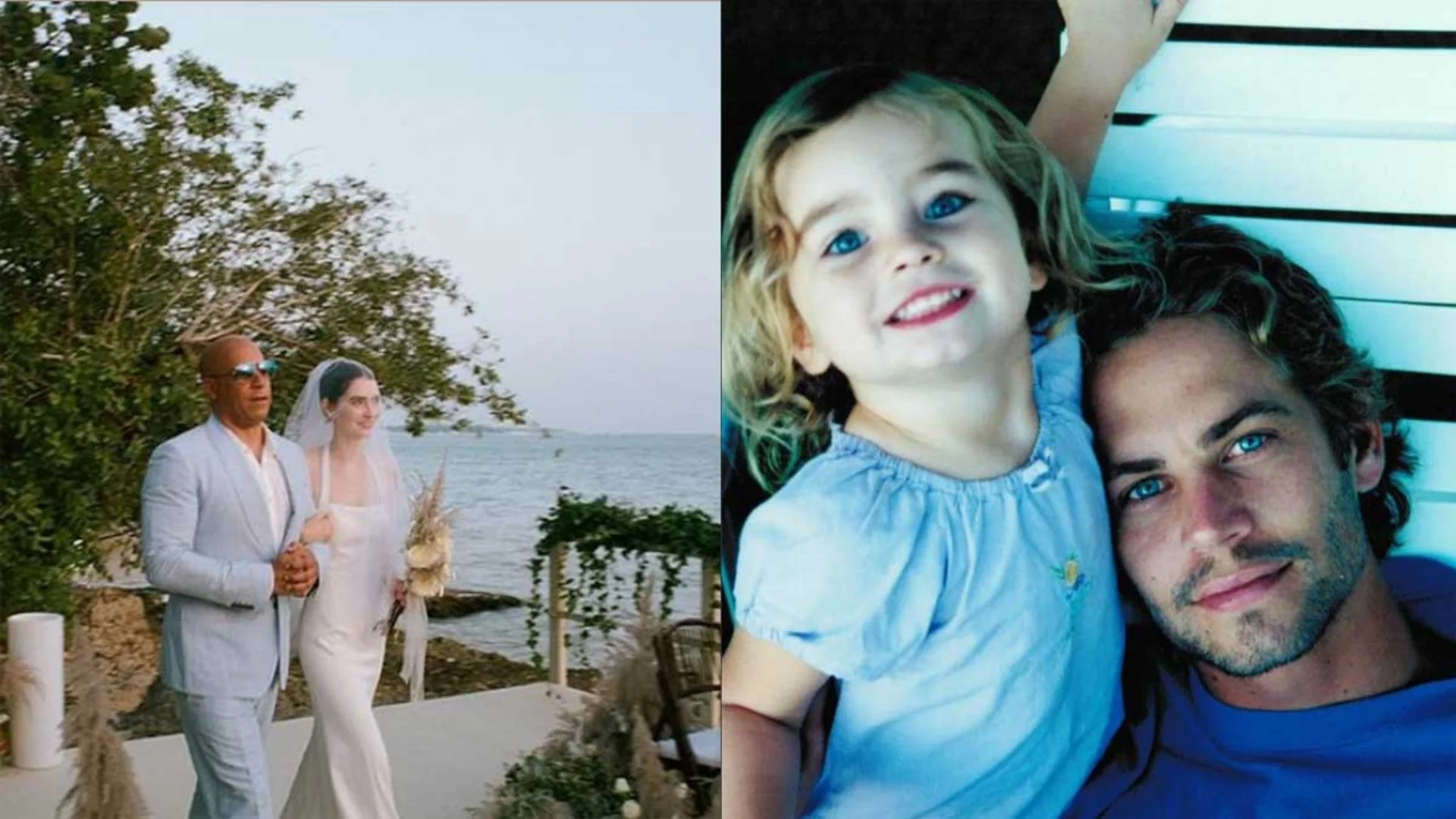 vin diesel meadow walker ijijn