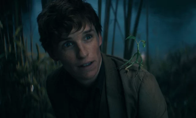 Animais Fantásticos