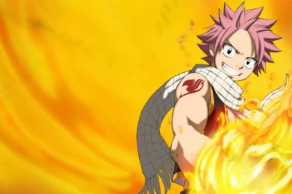 Primeira e segunda temporada de Fairy Tail chegaram no Brasil com atraso