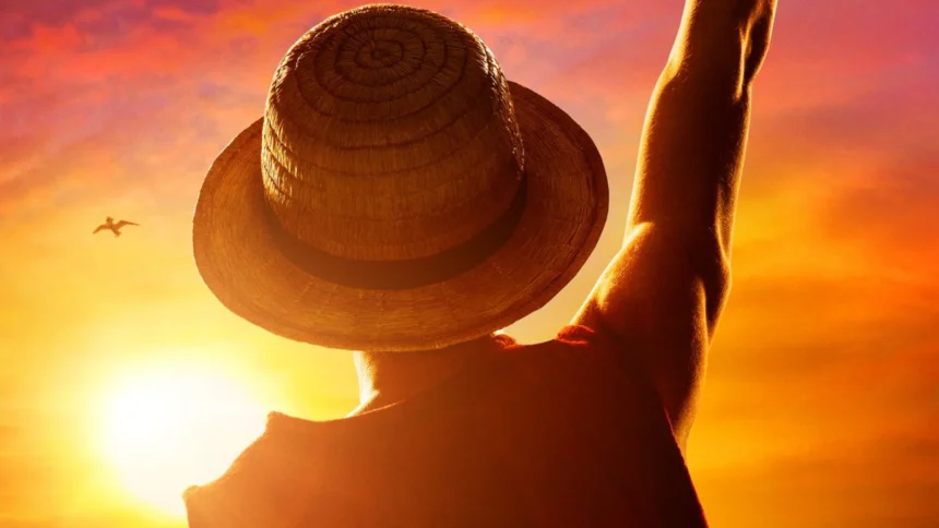 one piece cabana do leitor