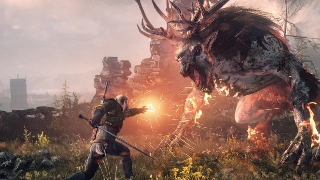 the Witcher