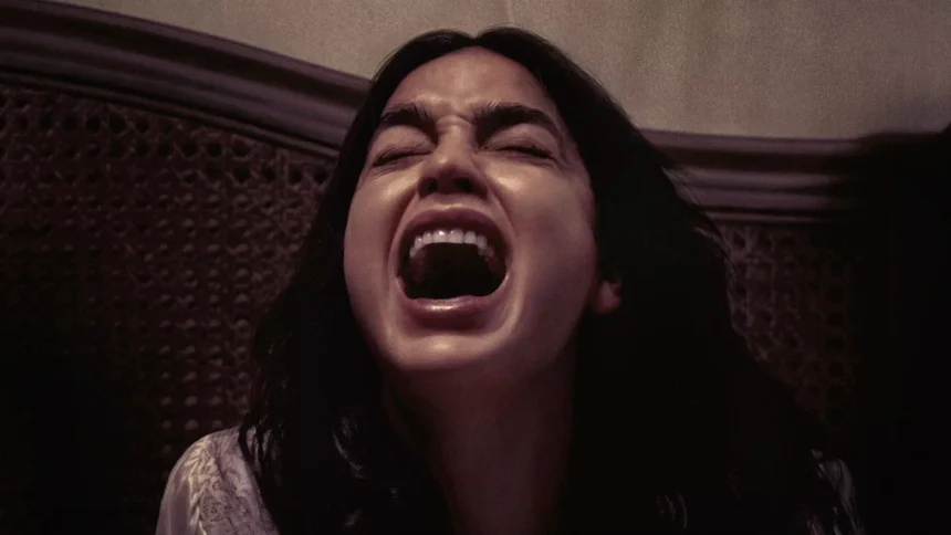 AnyConv.com melissa barerra