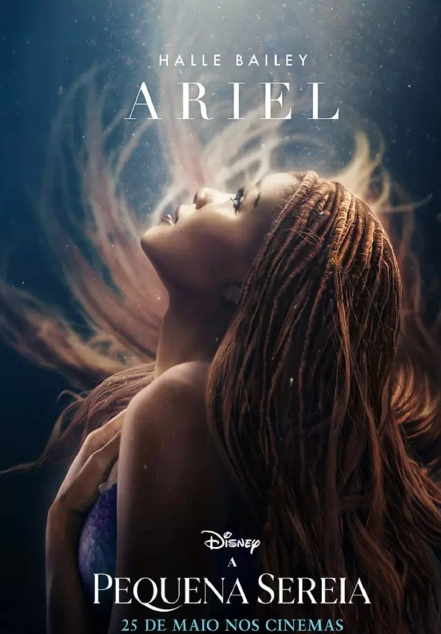 AnyConv.com poster solo ariel teste