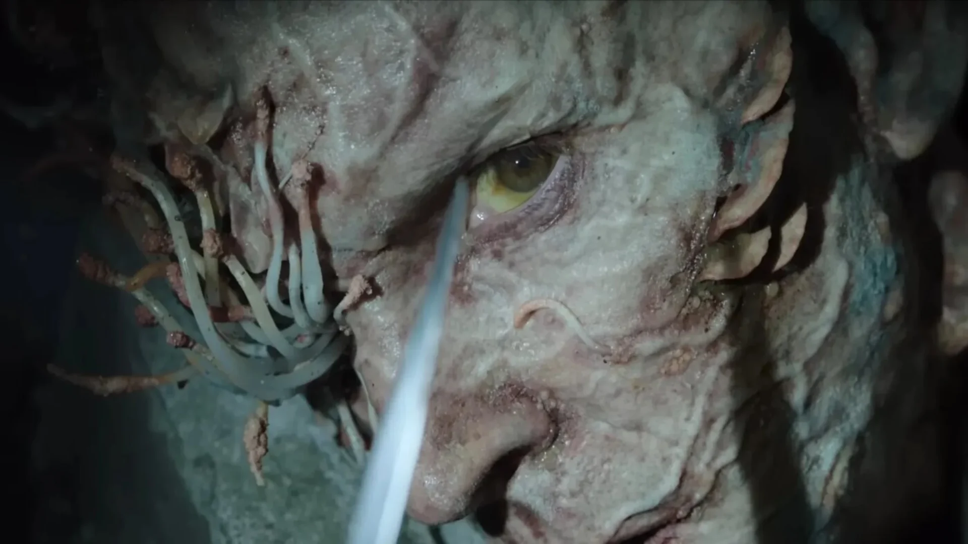 Segunda temporada de The Last of Us já tem episódio escrito 1 the last of us m2d scaled