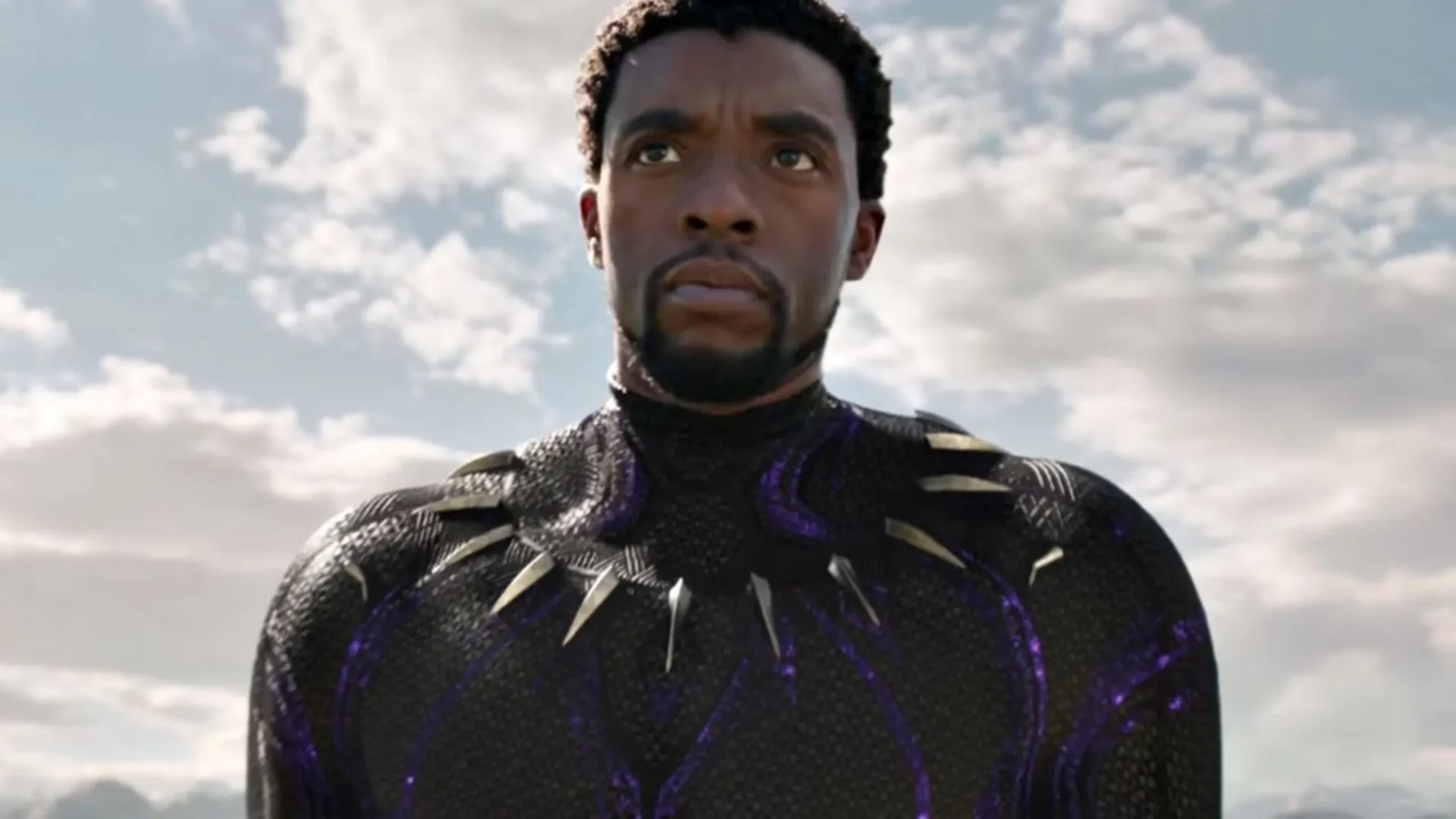 pantera negra scaled