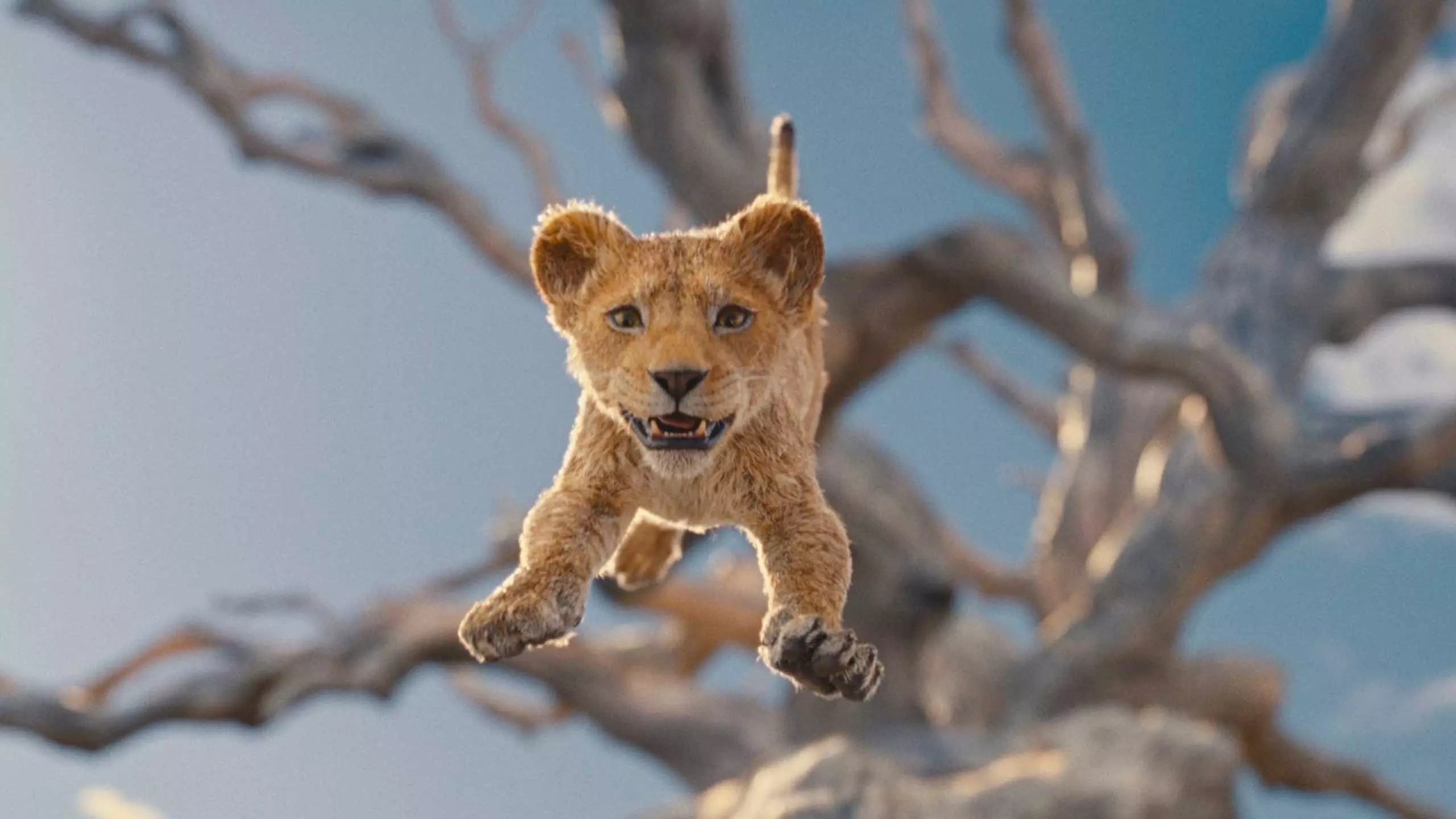 'Mufasa: O Rei Leão' define data de estreia no Disney+ Mufasa: O Rei Leão