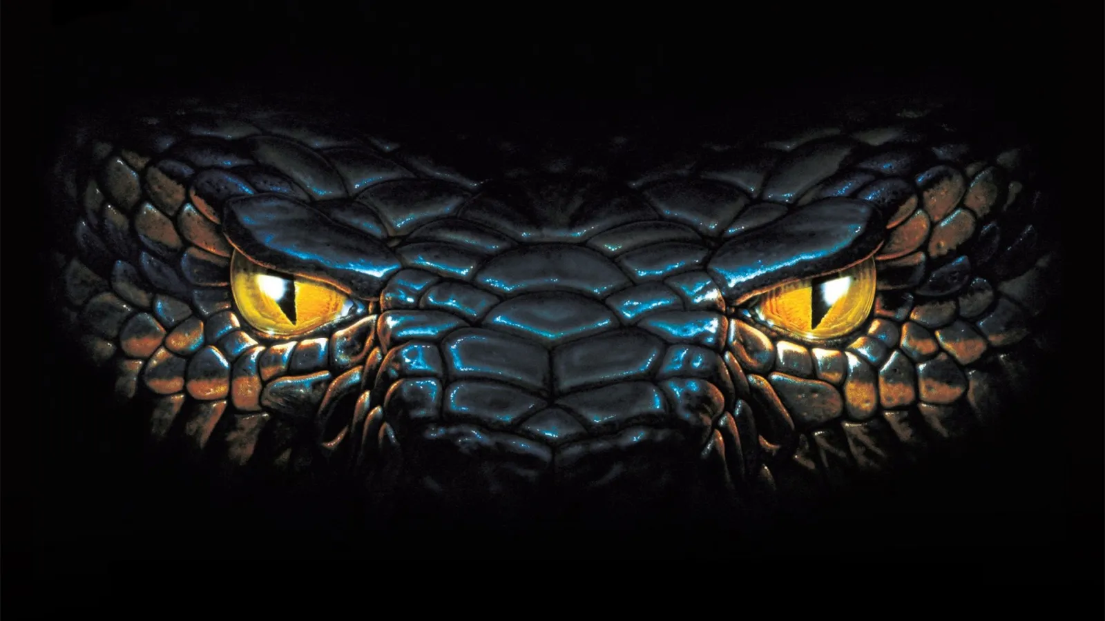 Novo filme 'Anaconda' terá Jack Black e Paul Rudd 1 anaconda