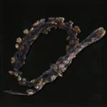 tooth whip icon in elden ring cabana do leitor