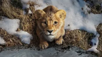 Mufasa Neve 2560x1440 1