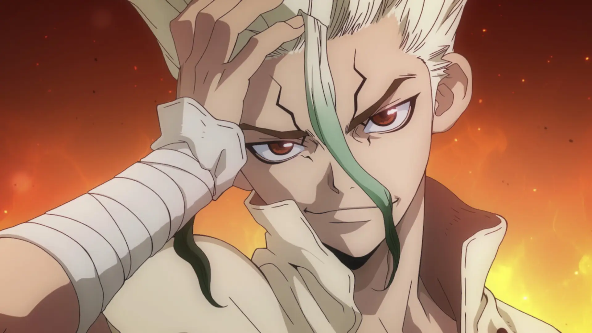 dr. stone