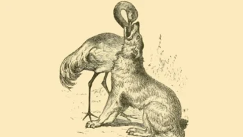 fabula o lobo e a garca