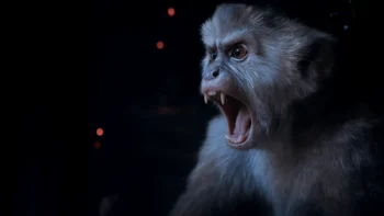 Macacos comandam a internet online no filme do Superman.