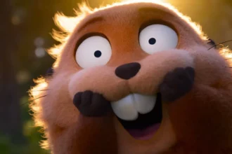 cara de um focinho de outro 1