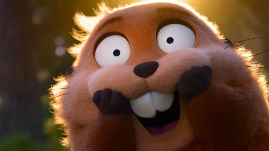 cara de um focinho de outro 1