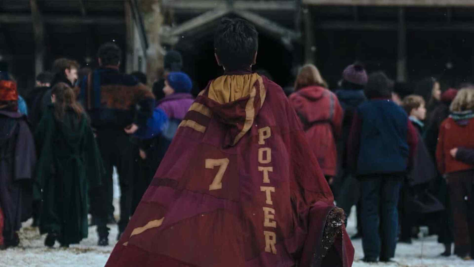 harry potter dbqge