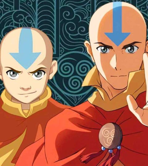 Avatar Aang The Last Airbender dwfw
