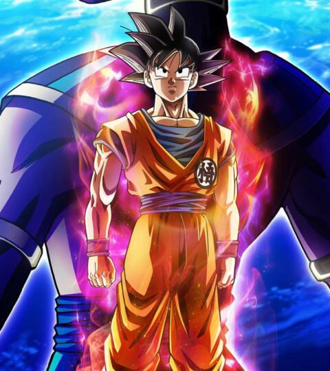 Dragon Ball Super Beerus ghd