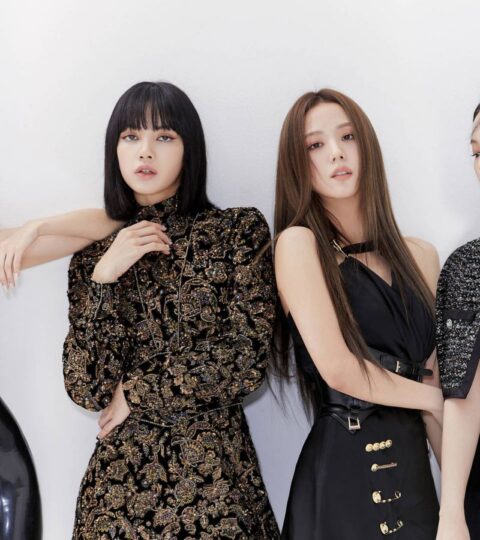 blackpink vbfvb