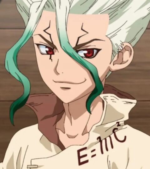 dr stone fe cabana do leitor 1600x900 1