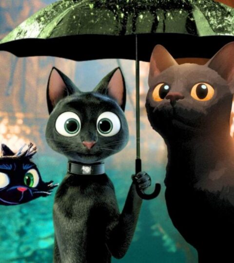 Gatto