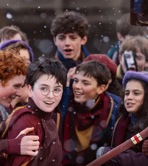 harry potter dnf