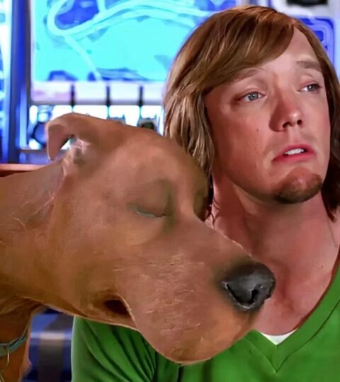 matthew lillard salsicha em filme de scooby doo cabana do leitor 1600x900 1
