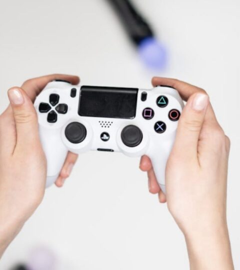 PSN Playstation