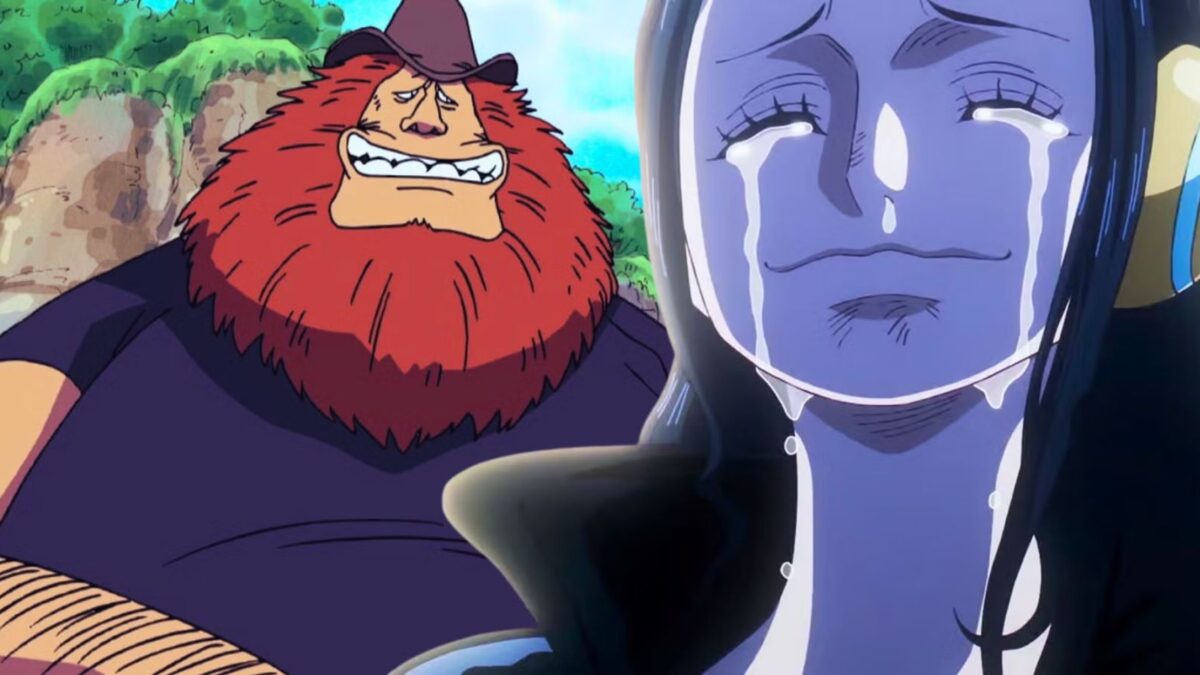 robin esaul from one piece cabana do leitor 1800x900 1