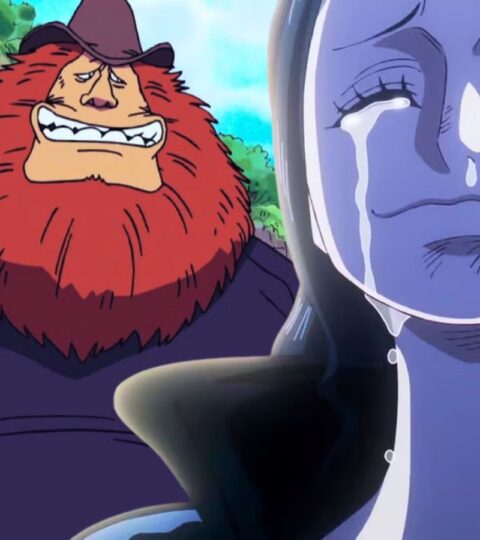 robin esaul from one piece cabana do leitor 1800x900 1