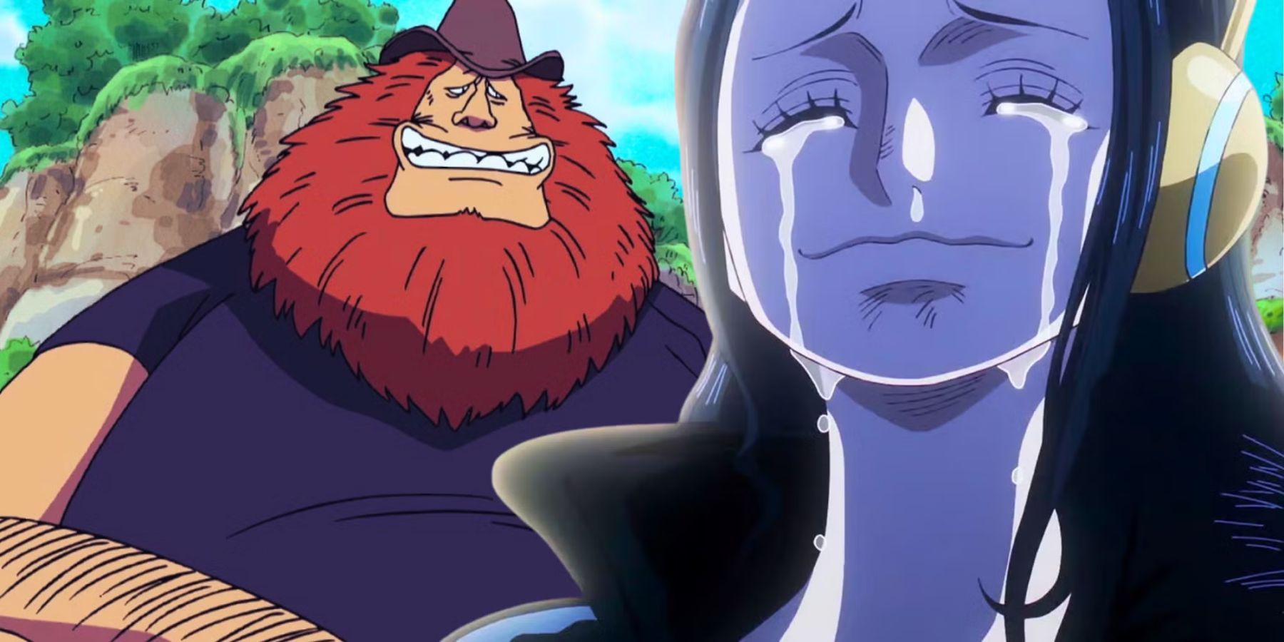robin esaul from one piece cabana do leitor 1800x900 1