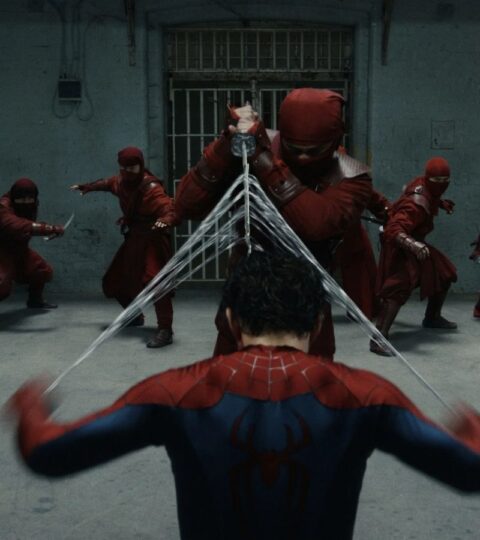 Homem-Aranha