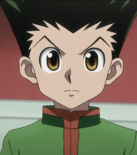 Hunter x Hunter