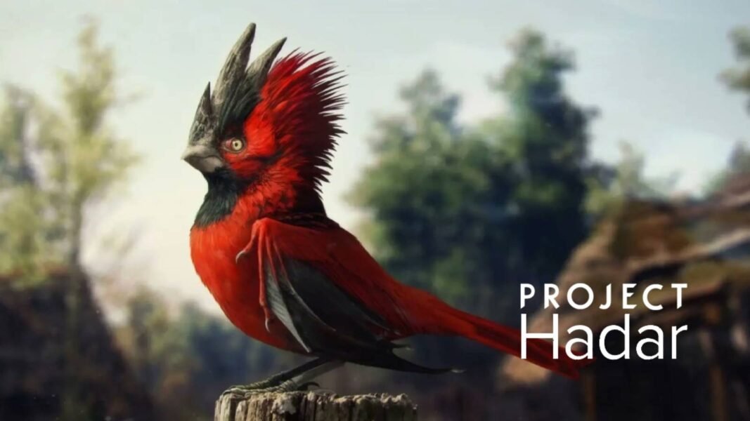 Projeto Hadar