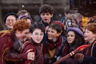harry potter 212 cabana do leitor